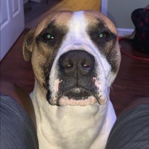 Meet your Posher, Ttajion